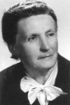 M. Witkiewicz