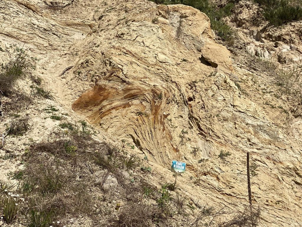 Glacitectonic folds in the Orłowo Cliff